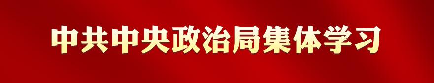 专栏:中共中央政治局集体学习